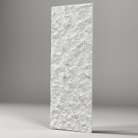 3D plokštė SK004
